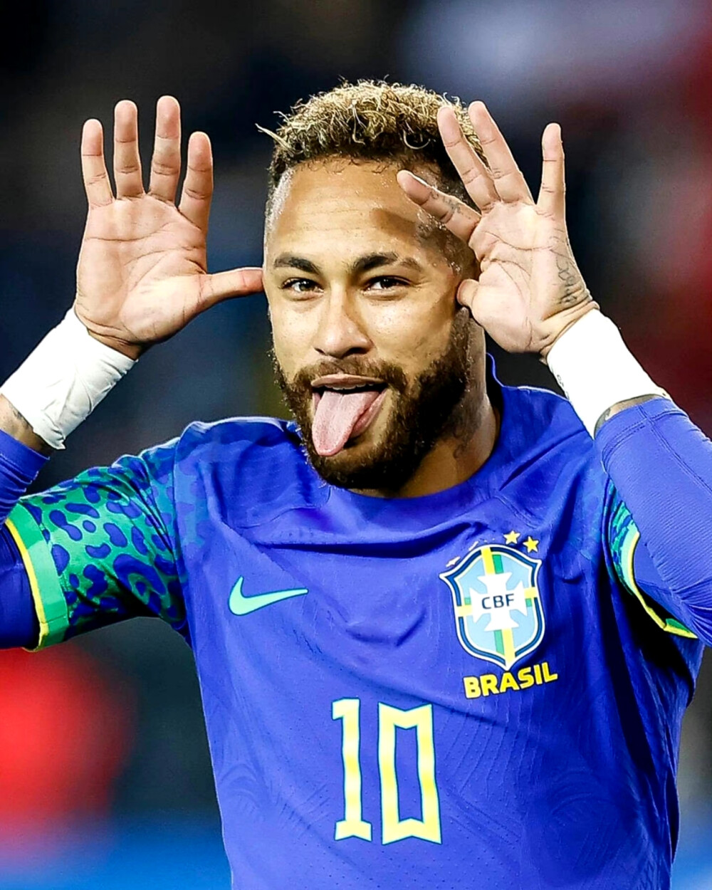 马尔卡宁 马尔卡宁