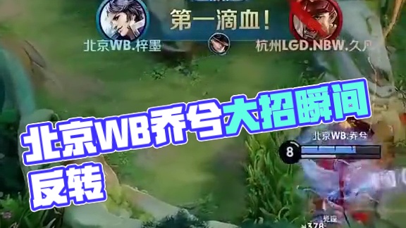 了可乘之机 了可乘之机