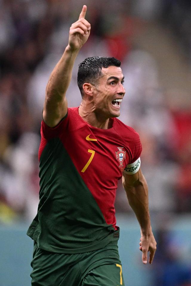 派提特的长 派提特的长